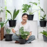 cultivate herbs
